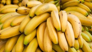 ديوان التجارة: نحو توريد 2000 طن من الموز من مصر وعرضه بسعر لا يتجاوز 5 دنانير