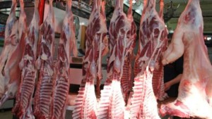 قبلي: اللحوم الحمراء تروج دون رقابة بيطرية بسبب غياب مسلخ بلدي