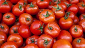 سوسة: استيفاء الإجراءات القانونية ضدّ وكيل بيع بسوق الجملة امتنع عن بيع الطماطم