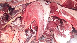 سيدي بوزيد: حجز كمية من اللحوم الحمراء تحمل أعراض مرض السل