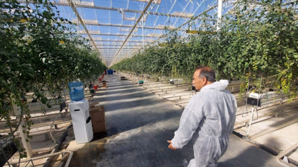 شركة فرحة الهيشة