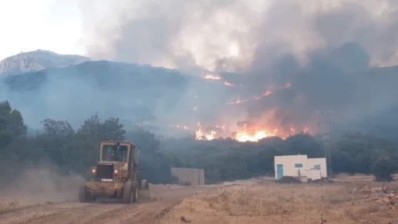 سليانة: السيطرة على حريق نشب بجبل برقو بمنطقة عين بوسعدية
