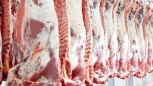 مجلس المنافسة يتعهد بدراسة ظروف المنافسة في سوق اللحوم الحمراء