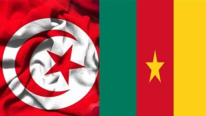 تعزيز التعاون الاقتصادي بين تونس و الكاميرون محور اجتماع اللجنة المشتركة للبلدين