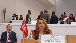 وزيرة الاقتصاد: تونس منصة إستراتيجية للاستثمار المجدي