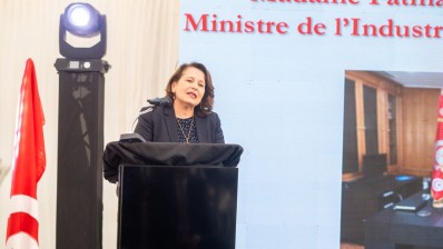 وزيرة الصناعة: ''العجز الطاقي في تونس أصبح يُثقل كاهل الدولة والمواطن والصناعيين''