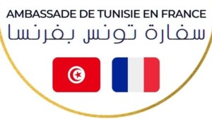 وجود عناصر من "فاغنر" بجربة... سفارة تونس بفرنسا تنفي