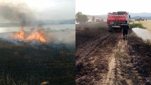 جندوبة: اخماد حريق أتى على 13 من حقول القمح