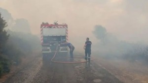 أريانة: إطفاء حريق اندلع بجبل النحلي