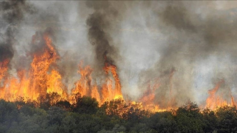 نابل : اخماد حريقين اندلعا بغابتين