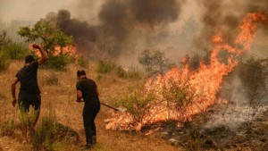 مدير الغابات : أغلب حرائق الغابات مفتعلة