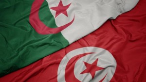 برلمانا تونس و الجزائر  يدعوان إلى الإسراع بتوفير الحماية الدوليّة للشعب الفلسطيني