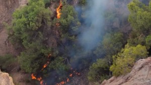 سليانة: اندلاع حريق بجبل عين بوسعدية ببرقو