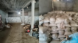 مجاز الباب: ضبط 67 طنا من القمح الصلب ينوي صاحبها توزيعها بالسوق السوداء