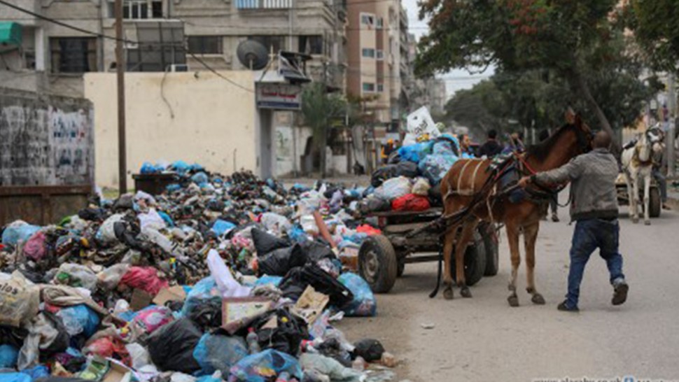 الأونروا تحذر من انتشار القوارض والحشرات بقطاع غزة