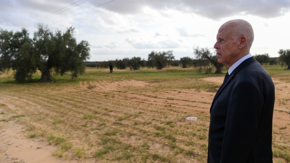 رئيس الدولة : لن نفرّط في هنشير الشعّال كما يدبّرون