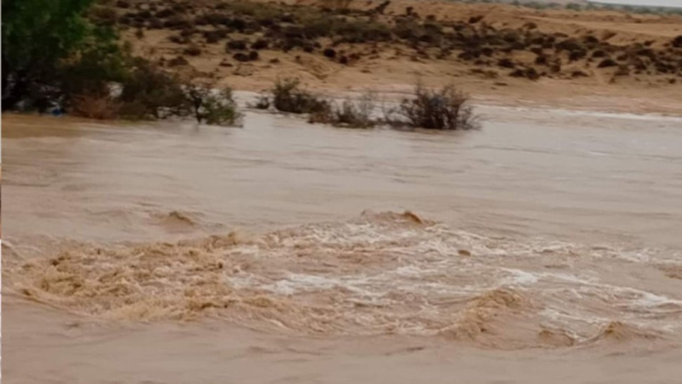 معز تريعة  : حصيلة ضحايا التقلبات الجوية في الساعات الـ24 الاخيرة ثقيلة