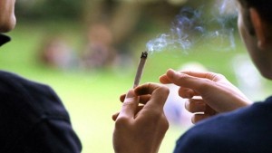 عبد المجيد الزحاف: 30 بالمائة من الأطفال استهلكوا الزطلة مرة أو مرتين و20 بالمائة منهم تمادوا في الاستهلاك