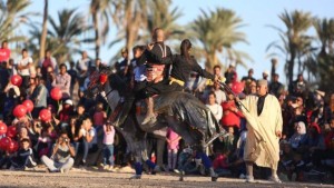 قبلي :المهرجان الدولي للتمور يعود بعد توقف لسنتين