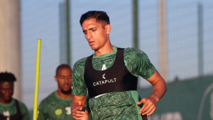 هاني عمامو