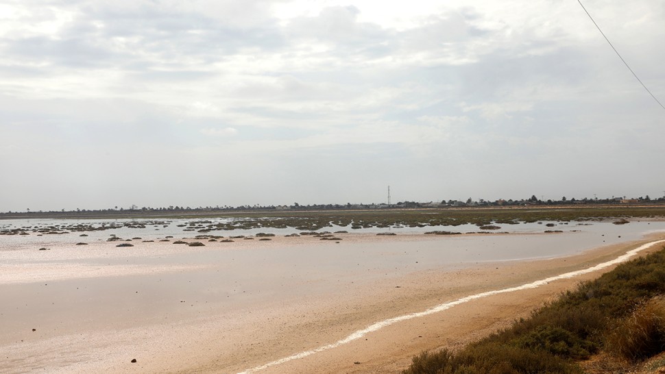 Le sel rampant menace les terres agricoles de l’île de Kerkennah : une crise climatique qui s’aggrave