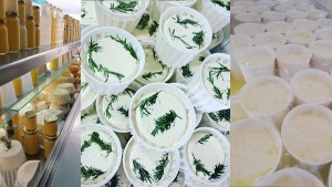 باجة وجهة لكل التونسيين في رمضان لاقتناء الأجبان  