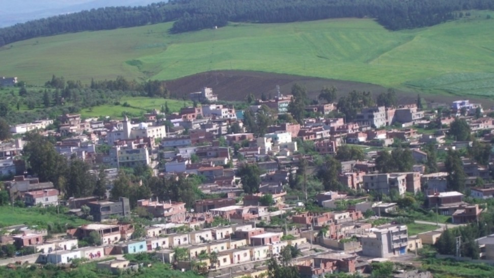سليانة