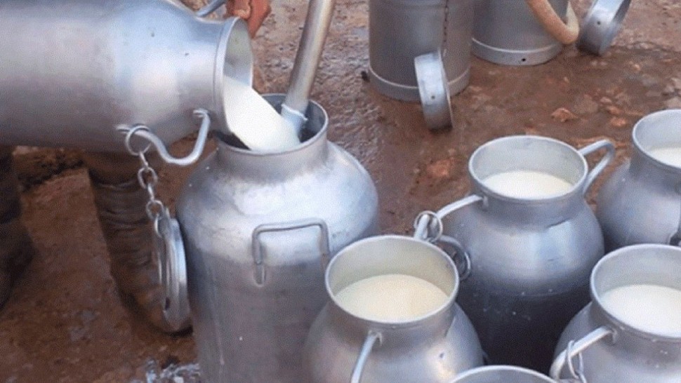 اتحاد الفلاحة بباجة يدعو الى مراجعة سعر الحليب