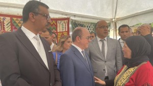 قفصة: إدراج بلدية المتلوي ضمن البلديات السياحية