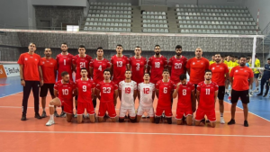 الكرة الطائرة