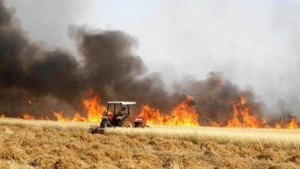 باجة : دعوة إلى توحيد الجهود لحماية المحاصيل الزراعية والغابات من خطر الحرائق
