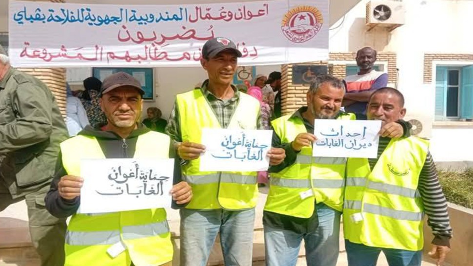 ولاية قبلي