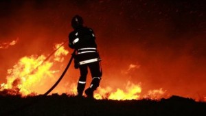 توزر: اندلاع حريق في واحة راس العين بنفطة