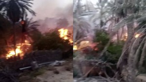 توزر: اندلاع حريق في واحة راس العين بنفطة
