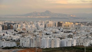 ارتفاع أسعار العقارات وتراجع أسعار الاراضي في 2024