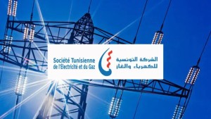 الستاغ : جدولة ديون الفلاحين من حرفاء الجهد المنخفض