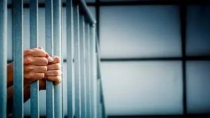 المحكمة الابتدائية بتونس