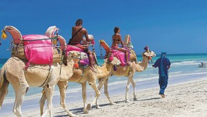 نابل -الحمامات: زيادة في عدد السياح الوافدين بنسبة 3.1%والسوق الداخلية في طليعة الترتيب