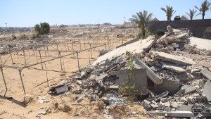 منظمة الأغذية والزراعة: أقل من 5 بالمائة من أراضي غزة صالحة للزراعة