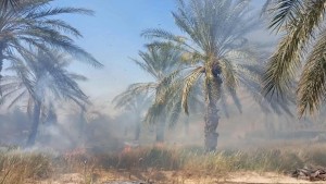 قبلي: اندلاع حريق بواحة قبلي القديمة