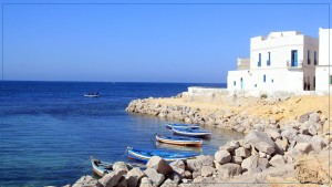 المهدية: انطلاق تنفيذ مشروع إقليمي لحماية الشواطئ من التلوث