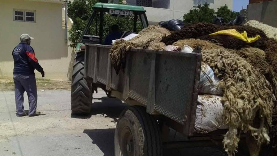بلدية باجة