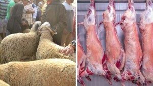 'تجاوزات' و'اخلالات' في سوق أضاحي العيد.. إرشاد المستهلك تدعو لفتح تحقيق ومحاسبة المتورطين