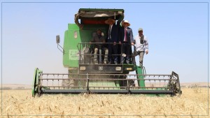 موسم الحصاد : نقابة الفلاحين تقترح حث المقاولين الخواص على توفير المعدات لتحسين المسالك الفلاحية