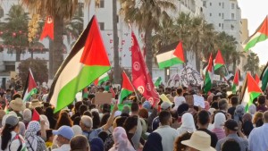 وقفات داعمة لقافلة الصمود بعدد من الولايات