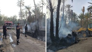 في غضون 10 أيام: حريق ثان بواحات مدينة قبلي القديمة