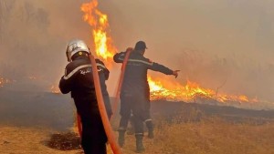 الحماية المدنية : إطفاء 189 حريقا خلال الأربع والعشرين ساعة الماضية