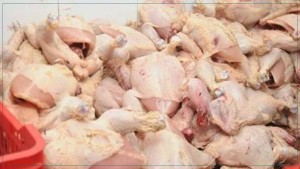 غرفة المذابح : اللحوم البيضاء تشهد انتكاسة