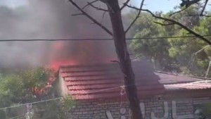 بنزرت: السيطرة على حريق اندلع بمنتزه وسط غابة الرمال