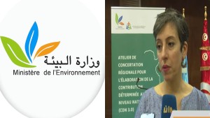 وزارة البيئة